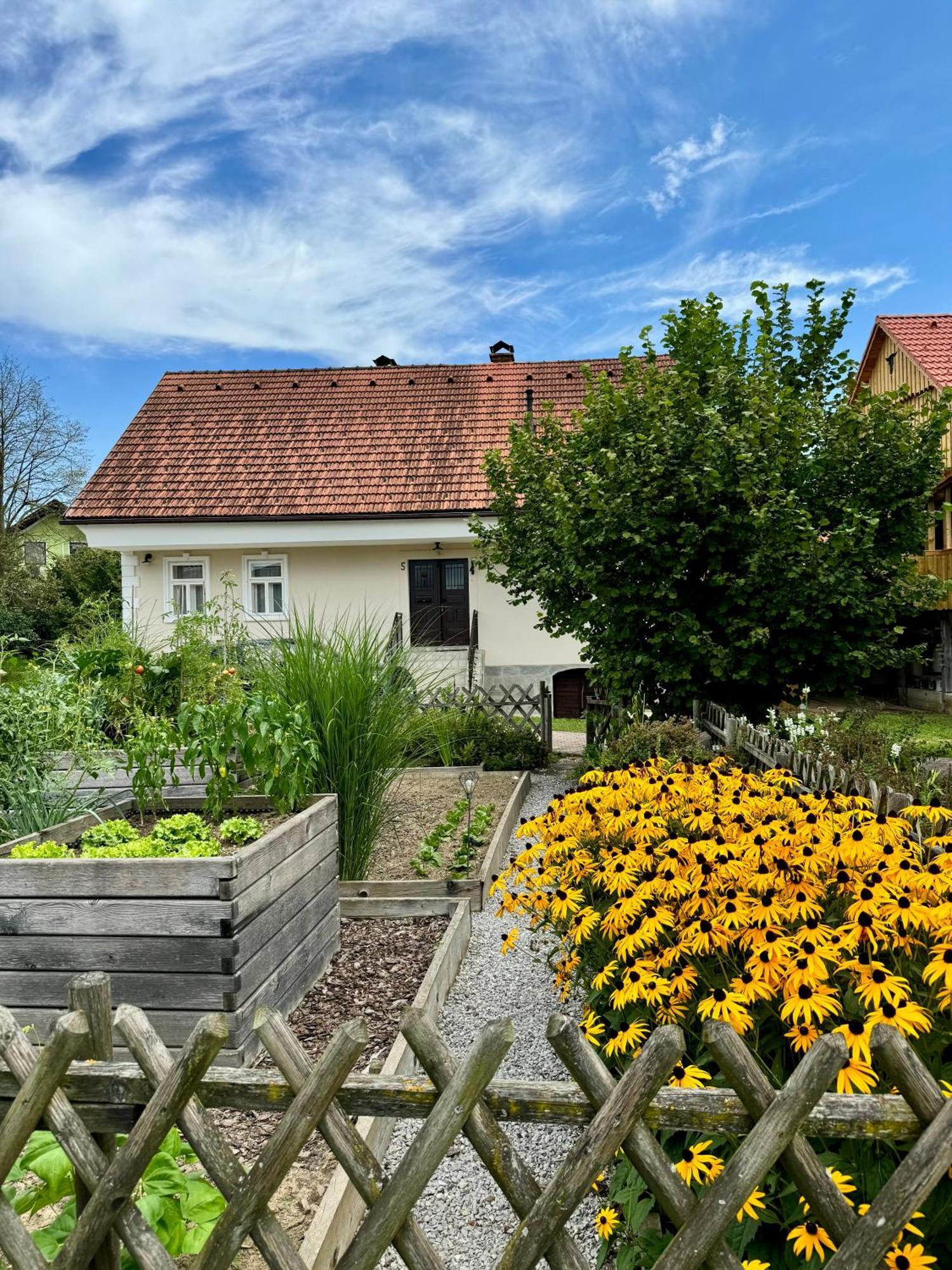 Homestead At Stefka'S Mokronog