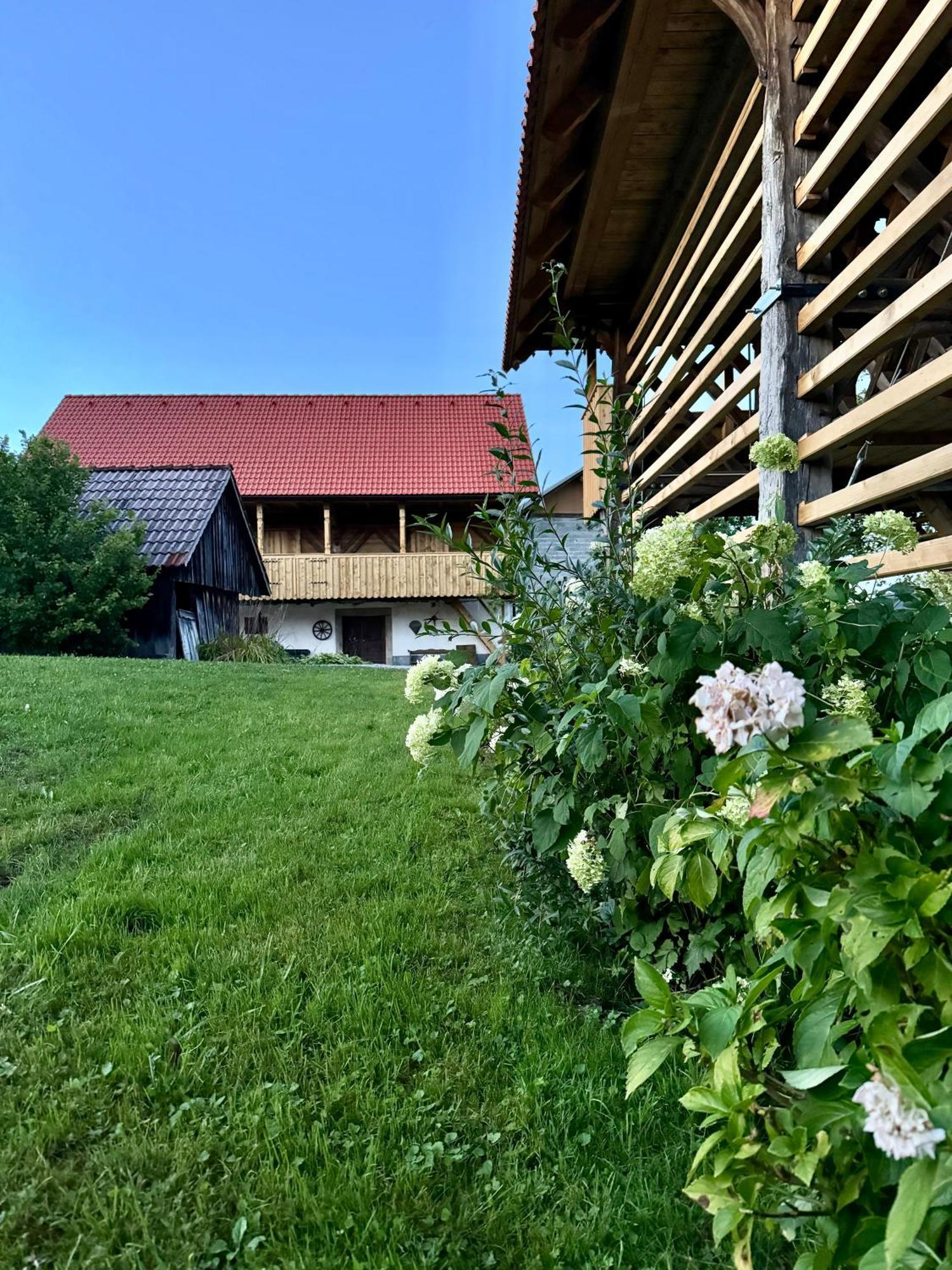 Homestead At Stefka'S Mokronog